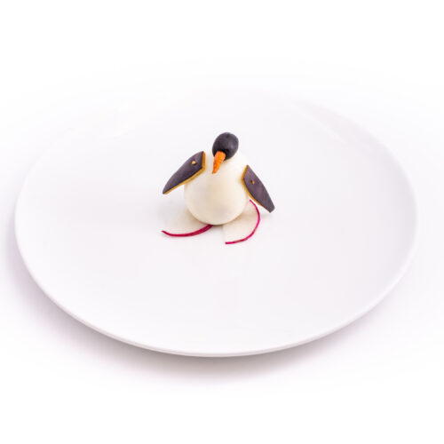 Martin le Pingouin