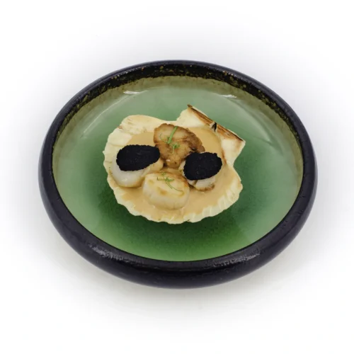 Saint-Jacques en coquilles, sauce Cardinal et lamelles de truffe présentée dans une assiette moderne à fond vert d'eau avec un extérieur noir