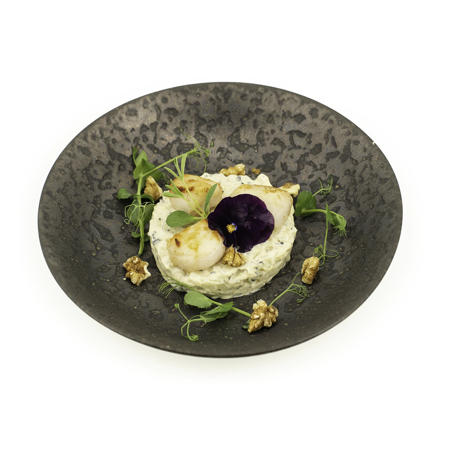 Coquille Saint-Jacques truffée BD Coquille Saint-Jacques truffée dans une assiette noire sur fond blanc