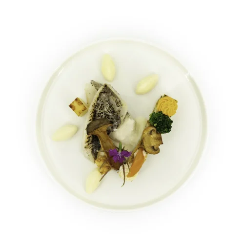 Filet de Saint-Pierre en top shot, crème de champagne rosé dans une assiette sur fond blanc