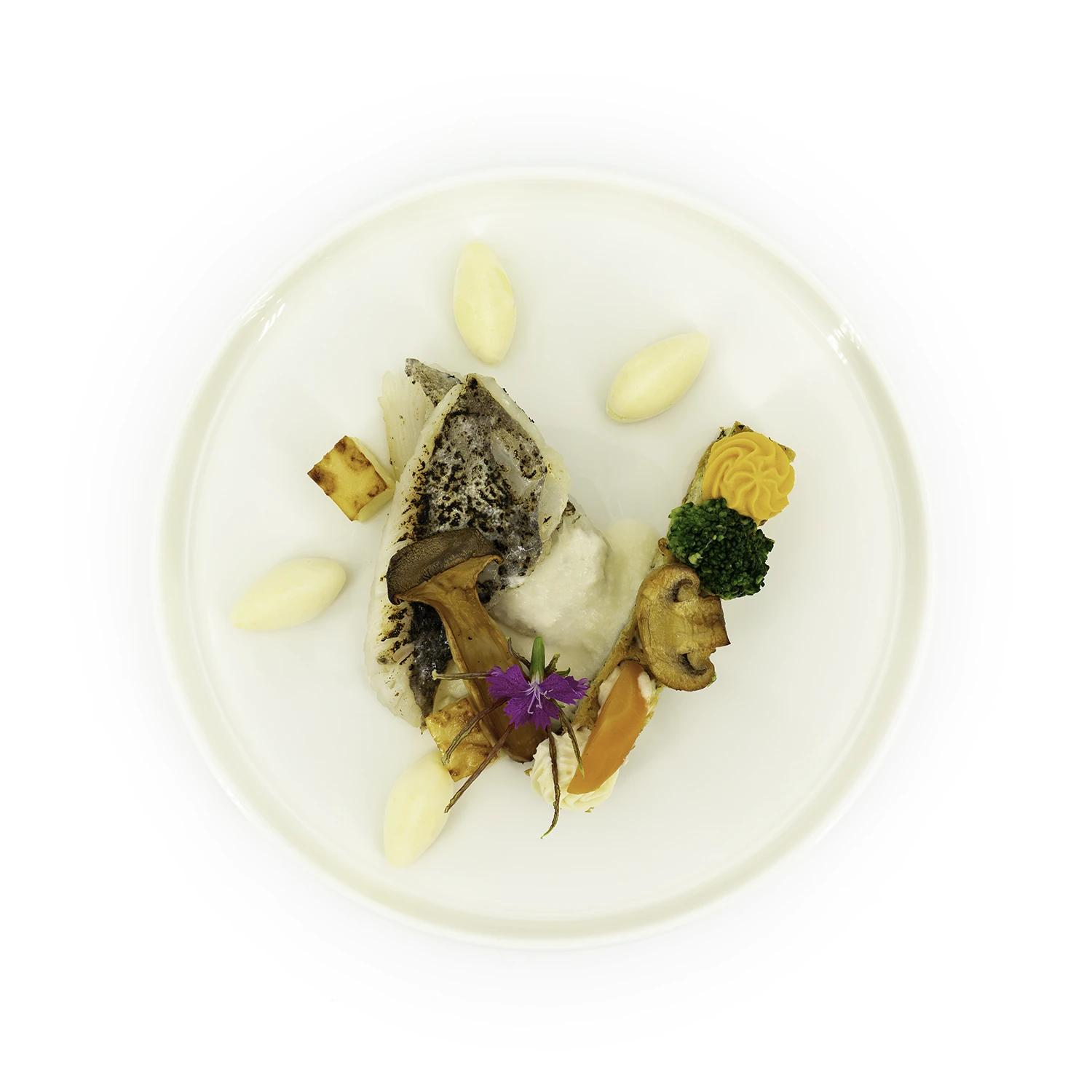 Filet de Saint-Pierre, crème de champagne rosé 2 BD Filet de Saint-Pierre en top shot, crème de champagne rosé dans une assiette sur fond blanc