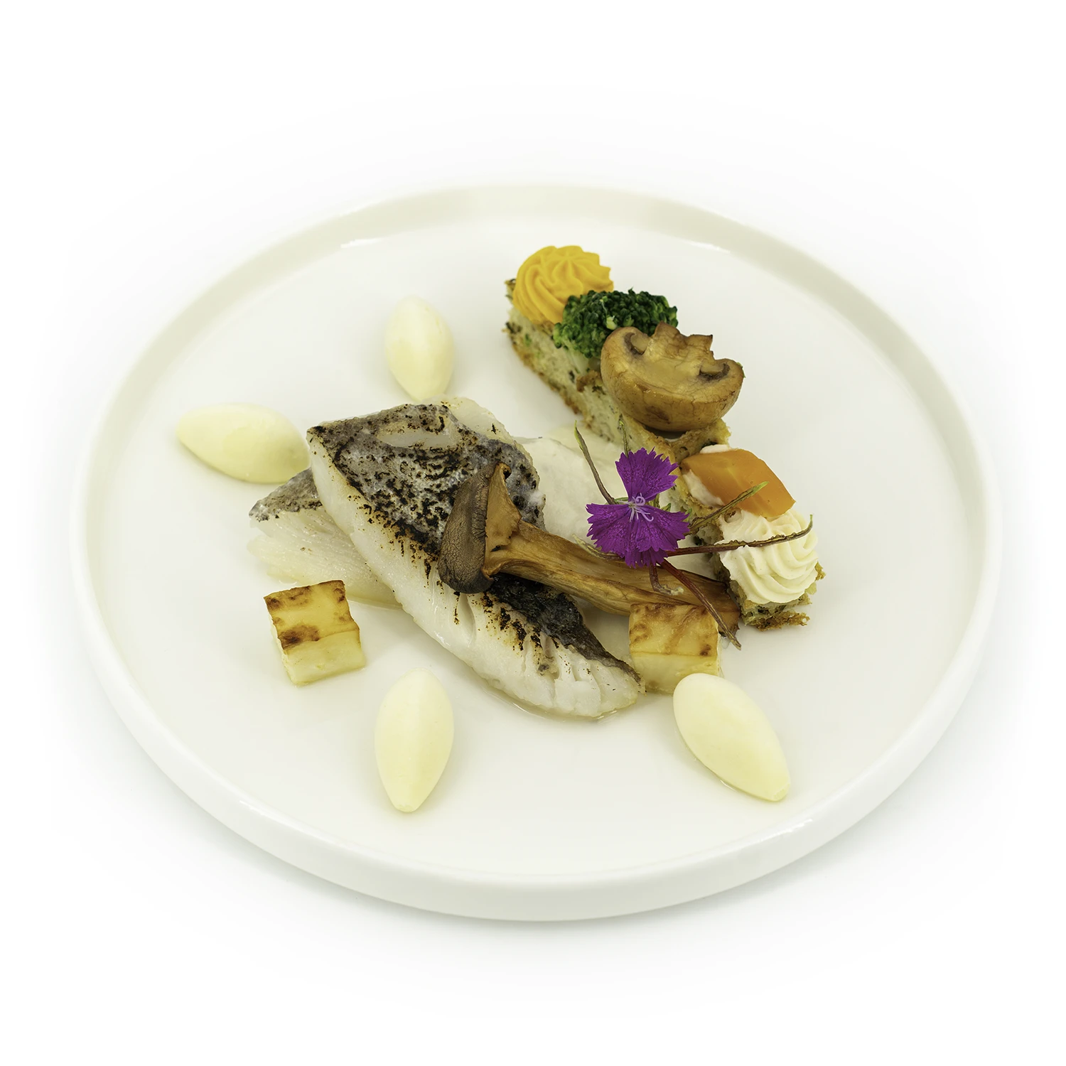 Filet de Saint-Pierre, crème de champagne rosé BD Filet de Saint-Pierre, crème de champagne rosé dans une assiette sur fond blanc