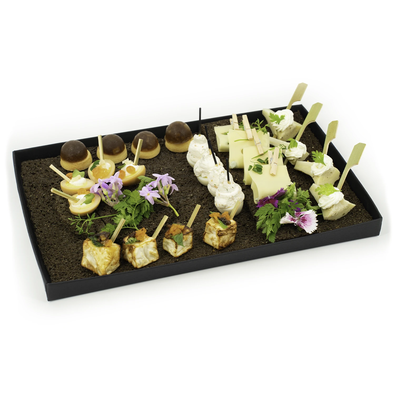 Plateau Lunaria 24 pcs BD