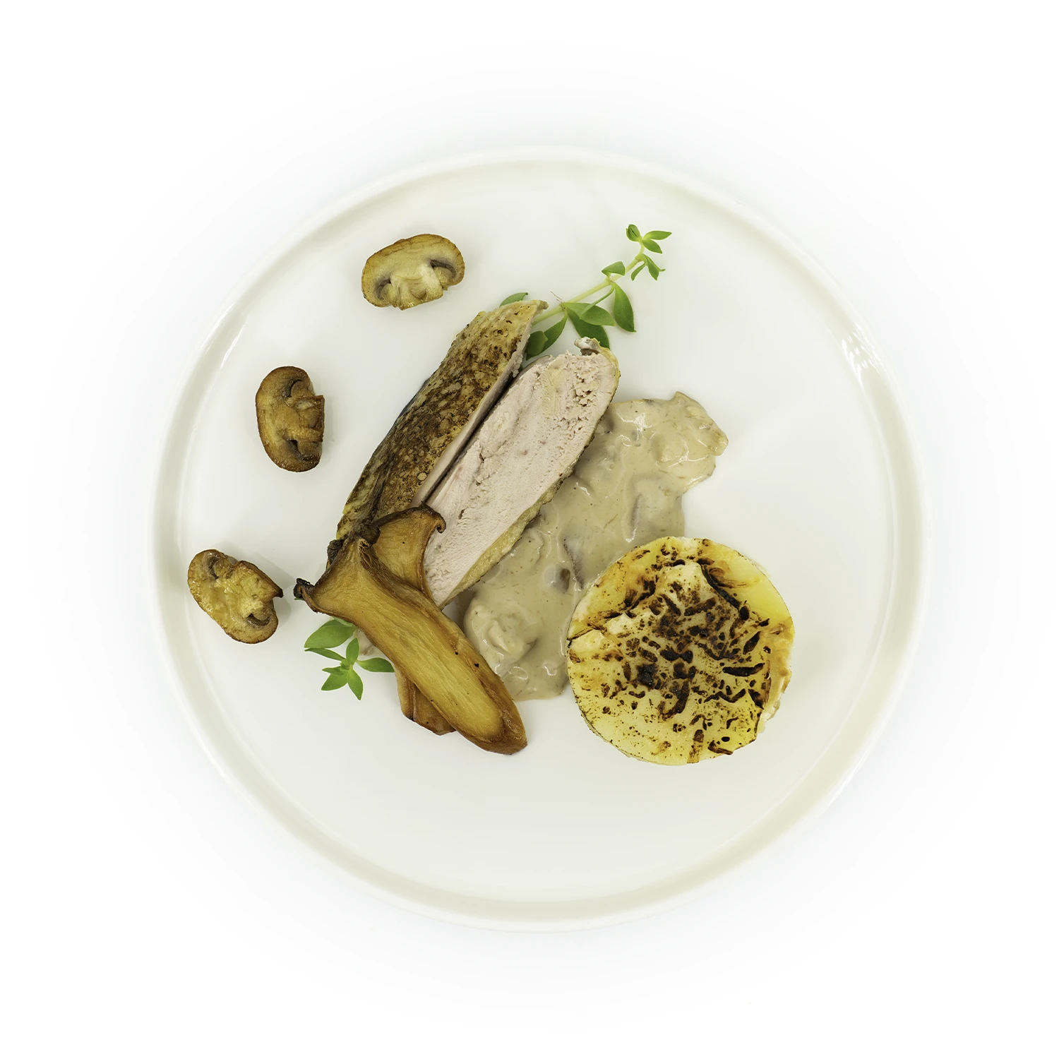 Suprême de pintade, sauce forestière 2 BD Suprême de pintade en top shot, sauce forestière dans une assiette sur fond blanc