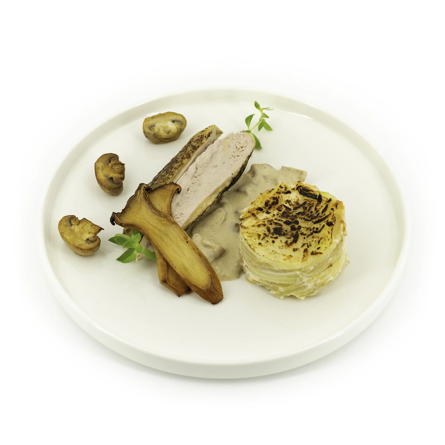 Suprême de pintade, sauce forestière BD Suprême de pintade, sauce forestière dans une assiette sur fond blanc